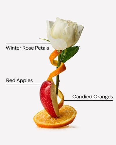 Winter Candy Apple Hand Cream 2