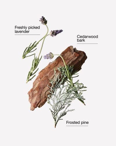 Lavender & Pine Single Wick Candle 2
