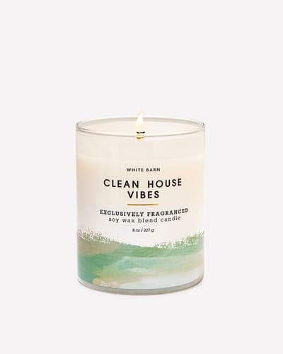 Clean House Vibes Single Wick Candle 1