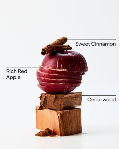 'Tis the Season Single Wick Candle 2