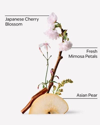 Japanese Cherry Blossom Single Wick Candle 2