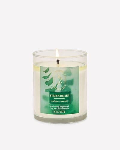 Eucalyptus Spearmint Single Wick Candle 1