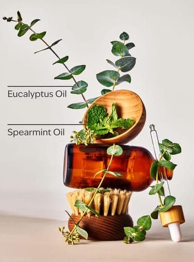 Eucalyptus Spearmint Single Wick Candle 2