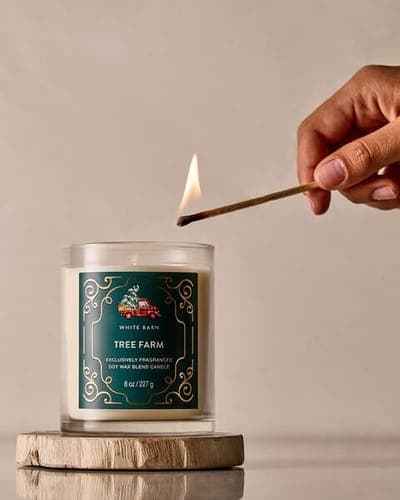 Tree Farm Single Wick Candle 4
