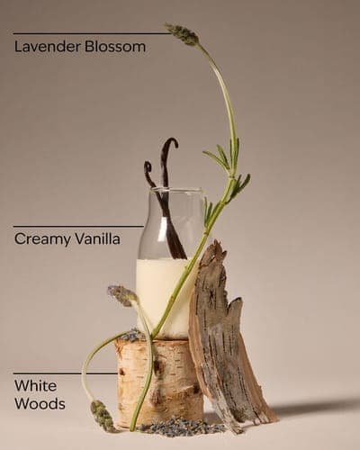Lavender Vanilla Single Wick Candle 2