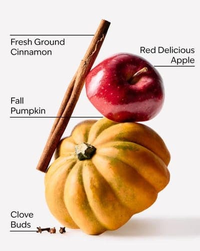Pumpkin Apple Single Wick Candle 2