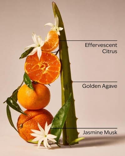 Sweet Orange & Agave Single Wick Candle 2
