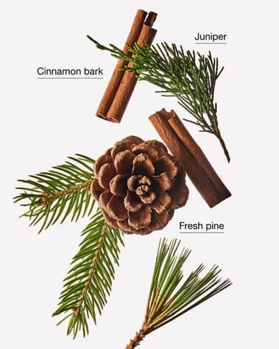 Cinnamon Pinecone Single Wick Candle 2