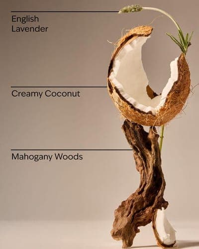 Mahogany Coconut Single Wick Candle 2