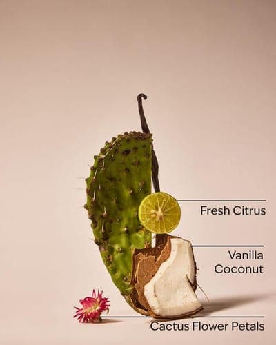 Cactus Blossom Single Wick Candle 2