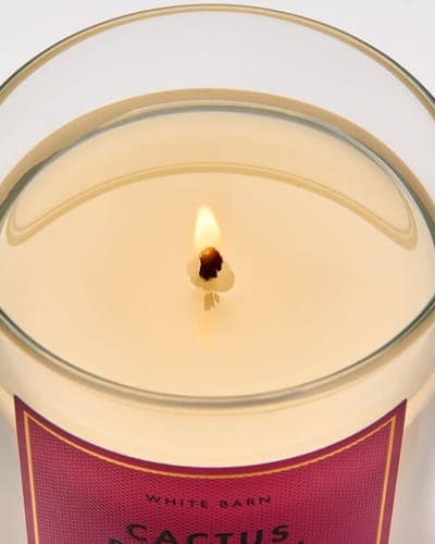 Cactus Blossom Single Wick Candle 4