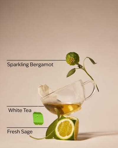 White Tea & Sage Single Wick Candle 2