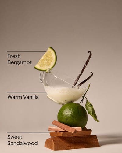 Mahogany Vanilla Single Wick Candle 2