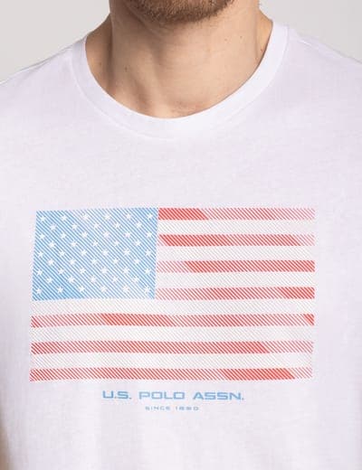 DIAGONAL STRIPES FLAG GRAPHIC T-SHIRT 3