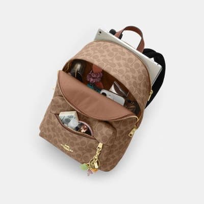 Coach Outlet Taylor Small Backpack In Signature Canvas 16