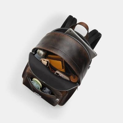 Coach Outlet Taylor Small Backpack In Loved Leather 4