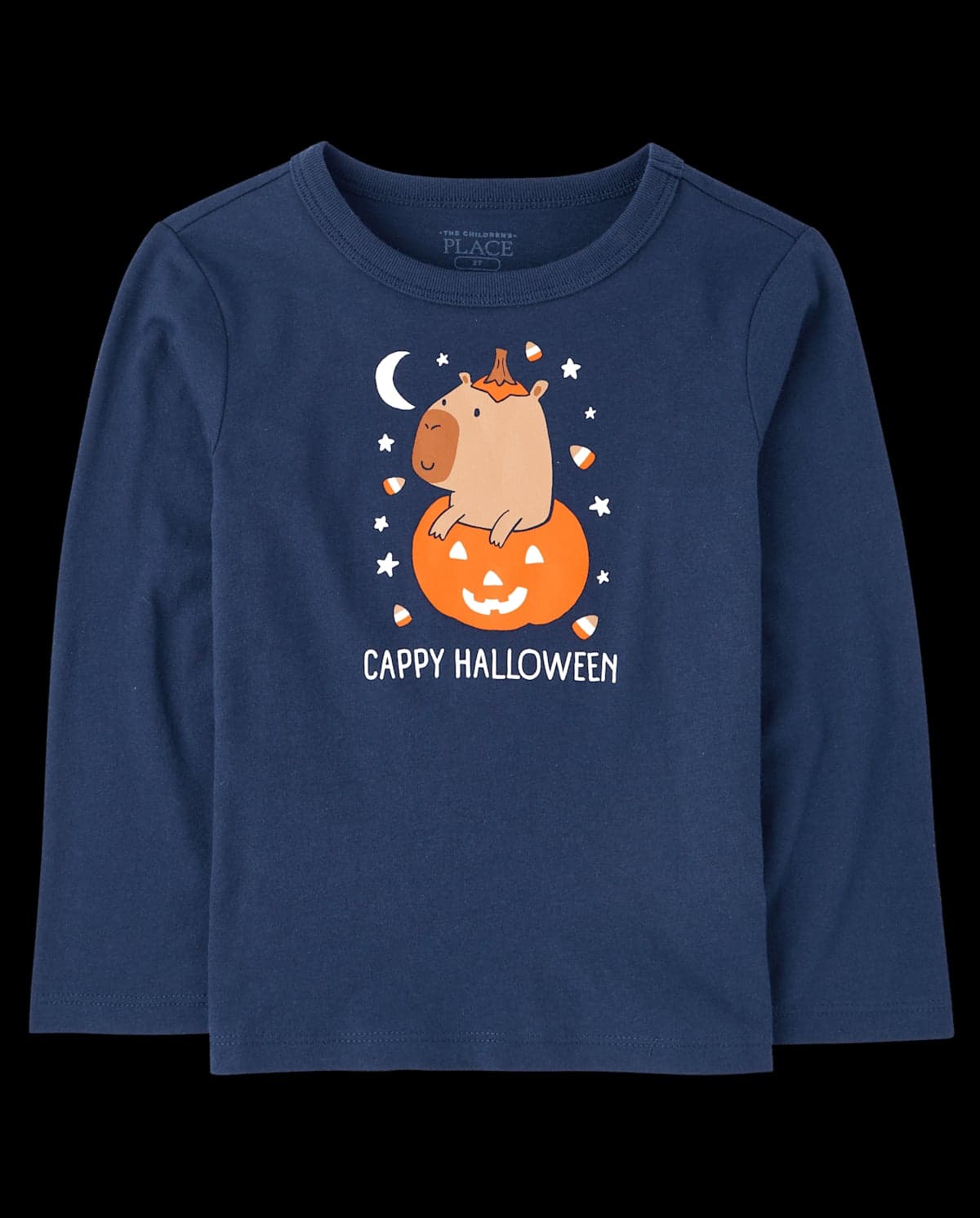 Baby And Toddler Boys Long Sleeve Halloween Capybara Graphic Tee