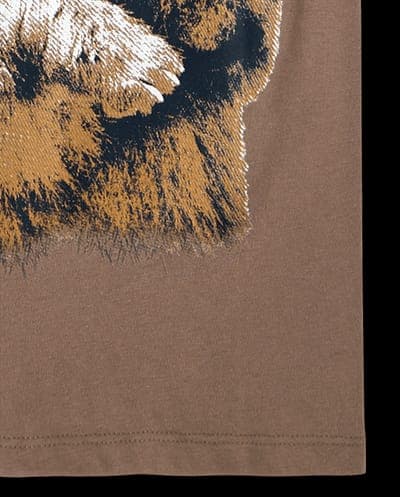 Boys Short Sleeve Bear Graphic Tee 5