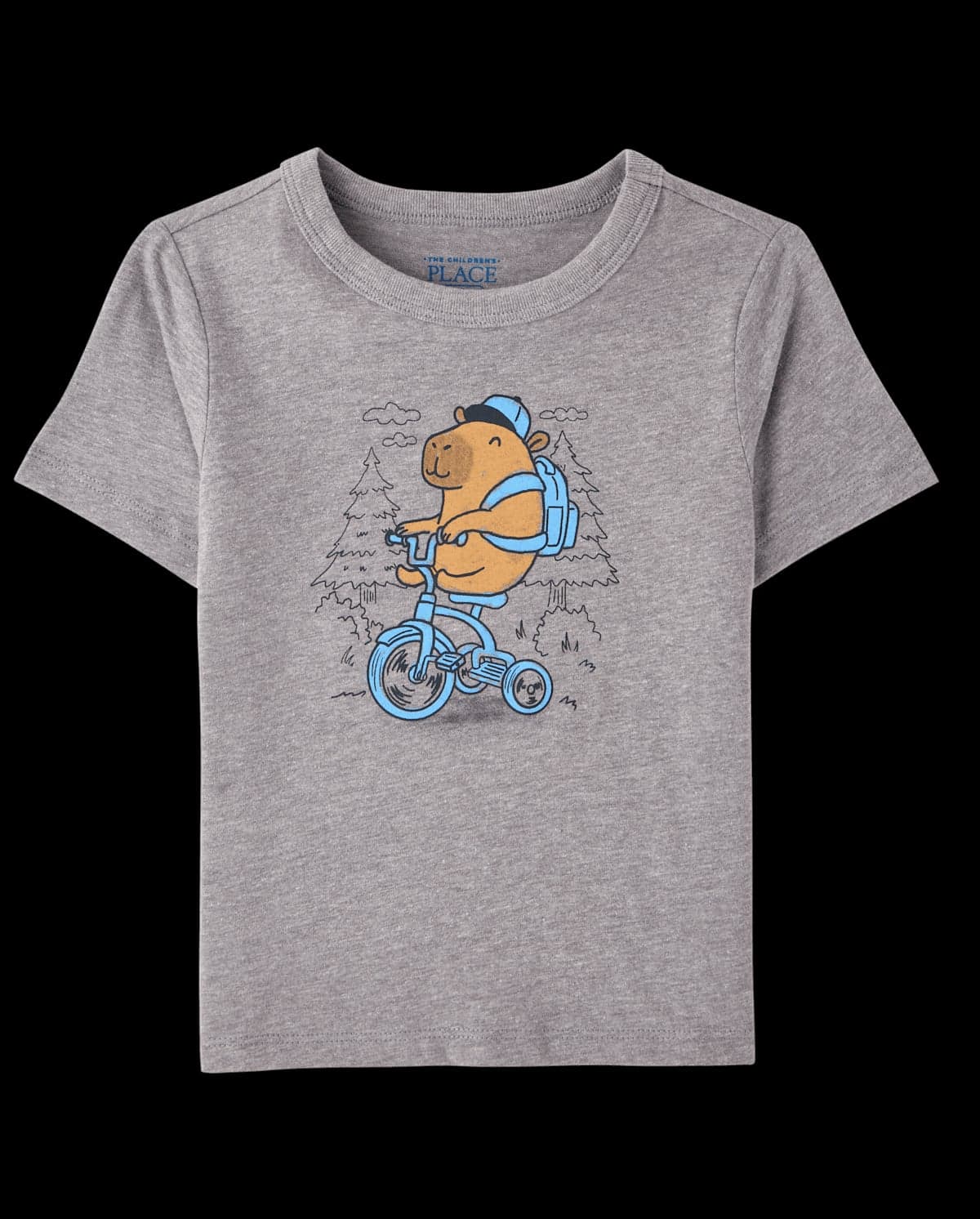 Baby And Toddler Boys Short Sleeve Capybara Bike Graphic Tee