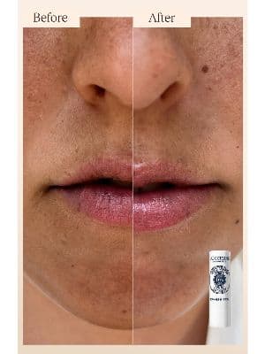 L'Occitane Shea Classics Gift Set $72 Value 10