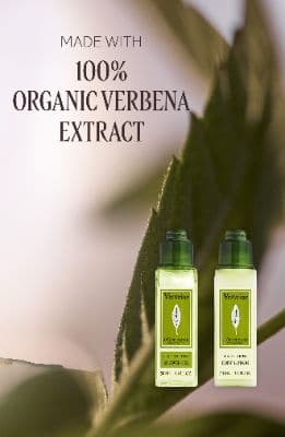 L'Occitane L'Occitane  Advent Calendar Set (Limited Edition) $257 Value 12