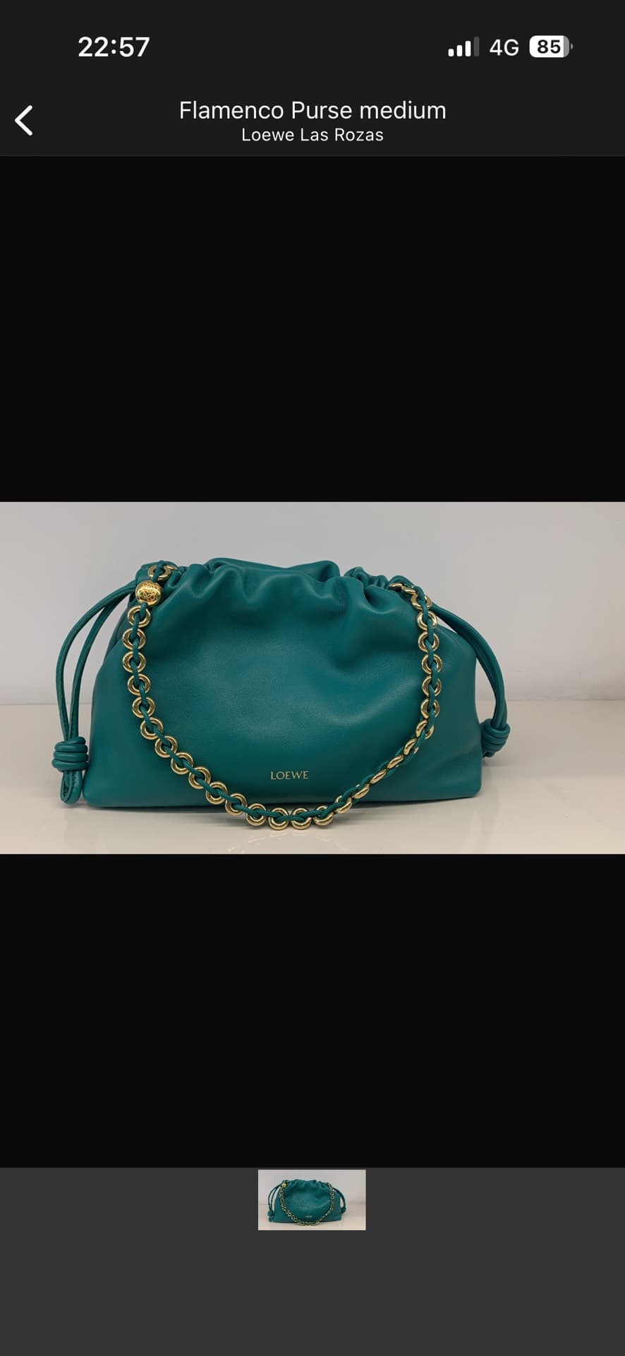 Loewe Flamenco Purse