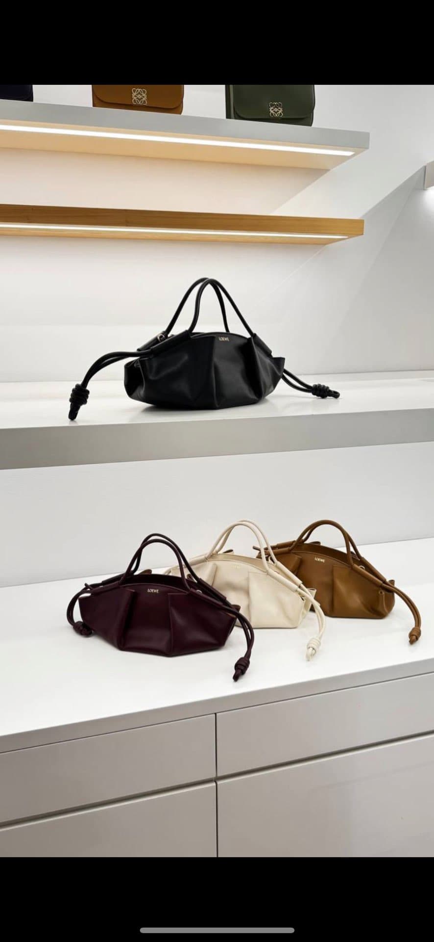 Трендовые сумки Loewe