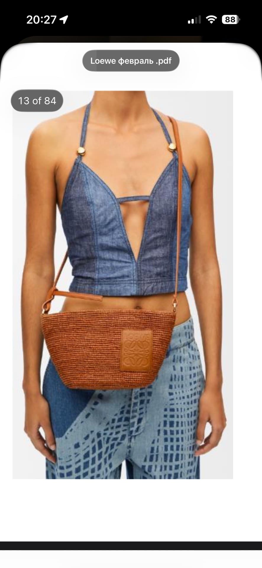 Trendy Loewe Bag