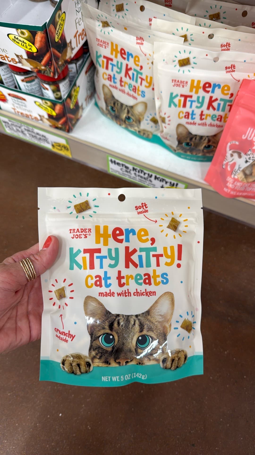 Here, Kitty Kitty! Cat Treats