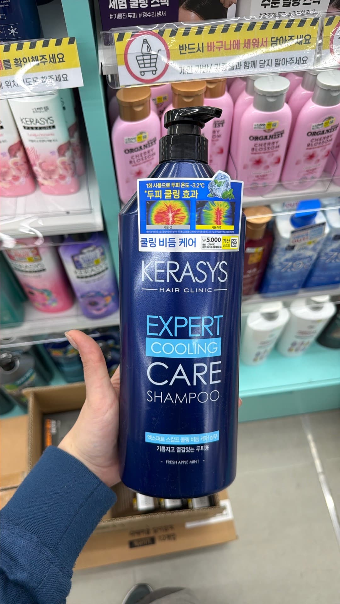 Kerasys Expert Cooling Care Shampoo