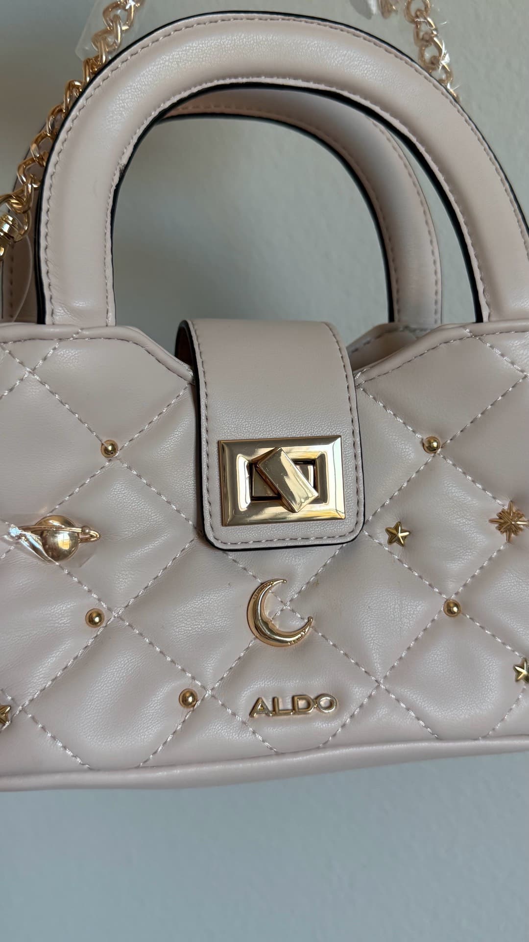 Chic Aldo Handbag