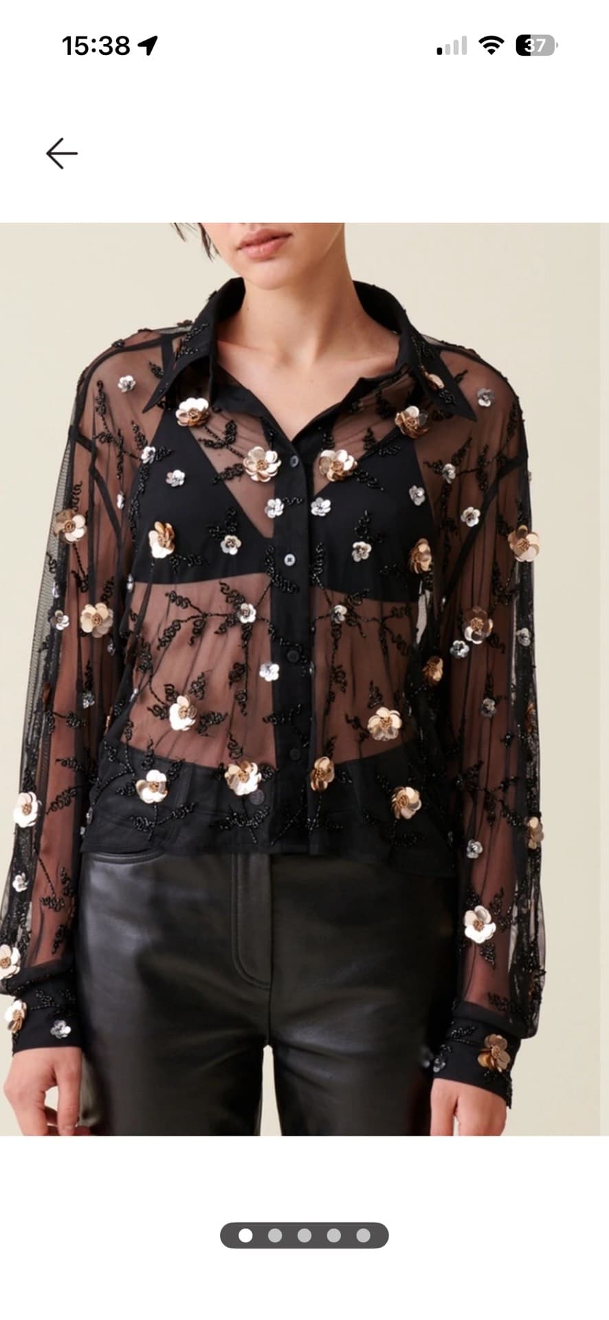 Chic Sheer Blouse