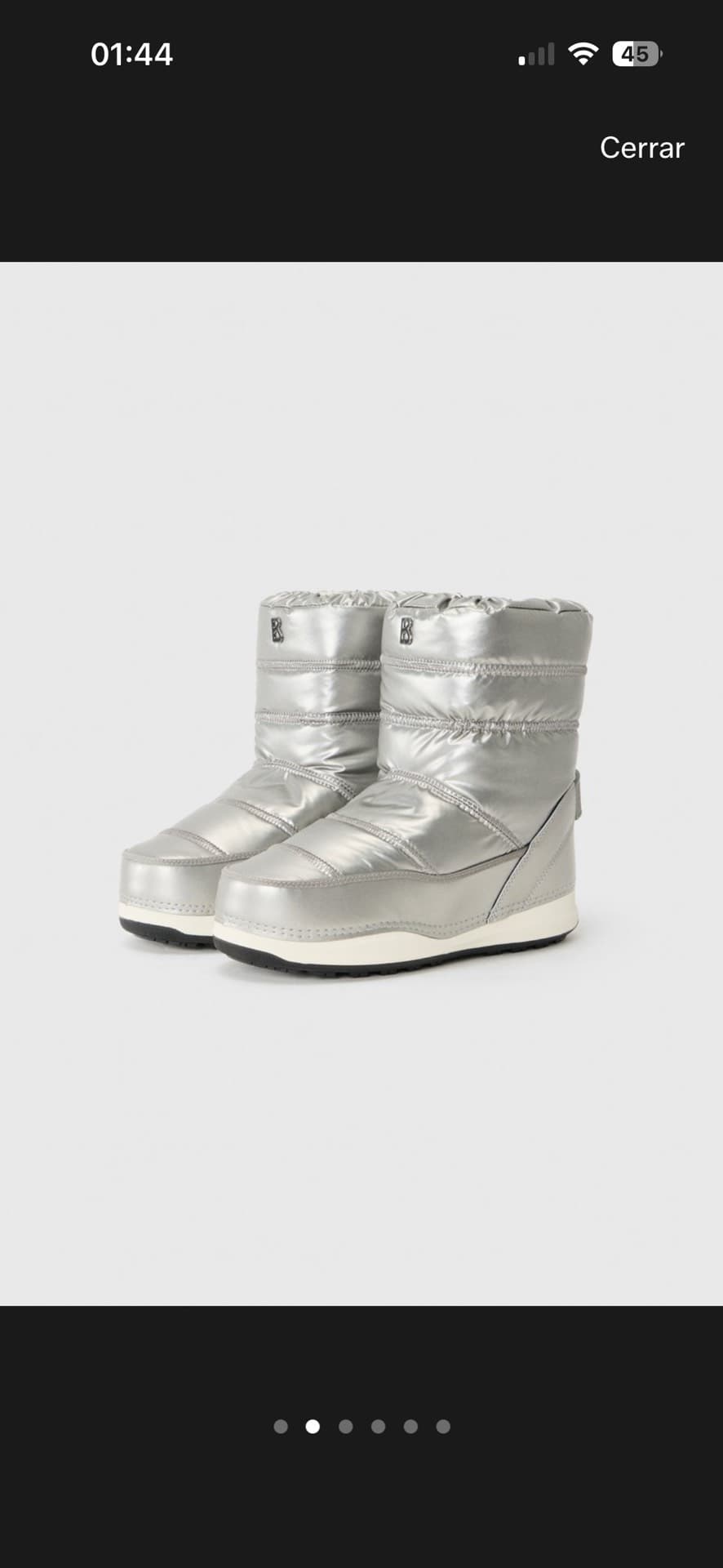 Stylish Silver Winter Boots