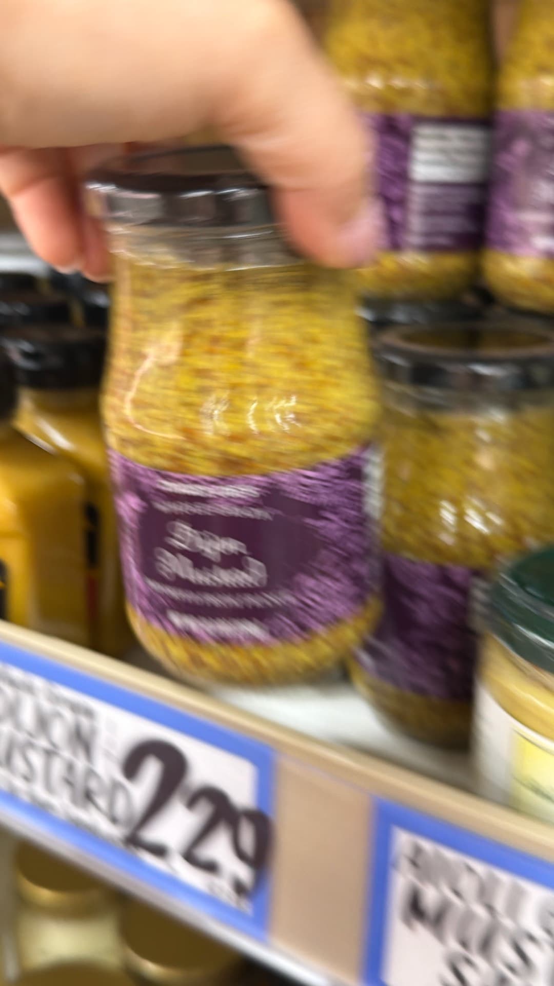 Gourmet Dijon Mustard