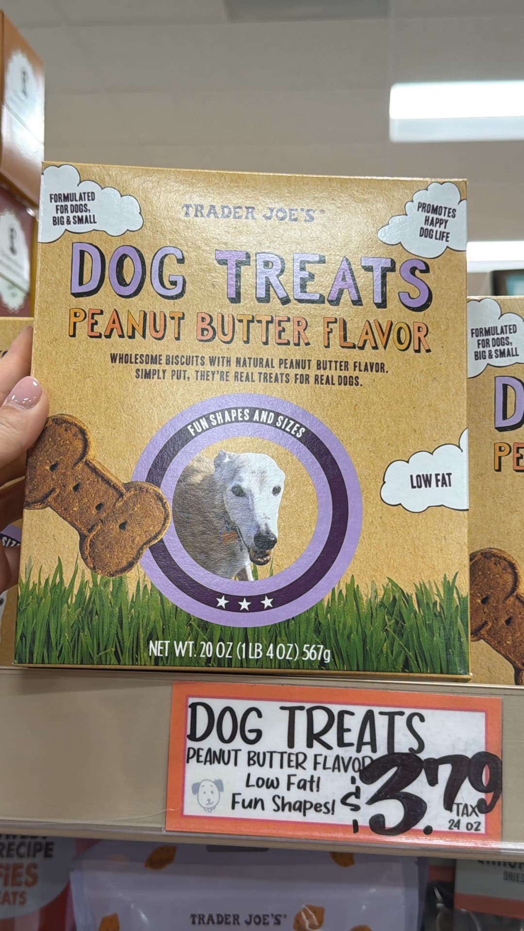 Trader Joe's Peanut Butter Dog Treats