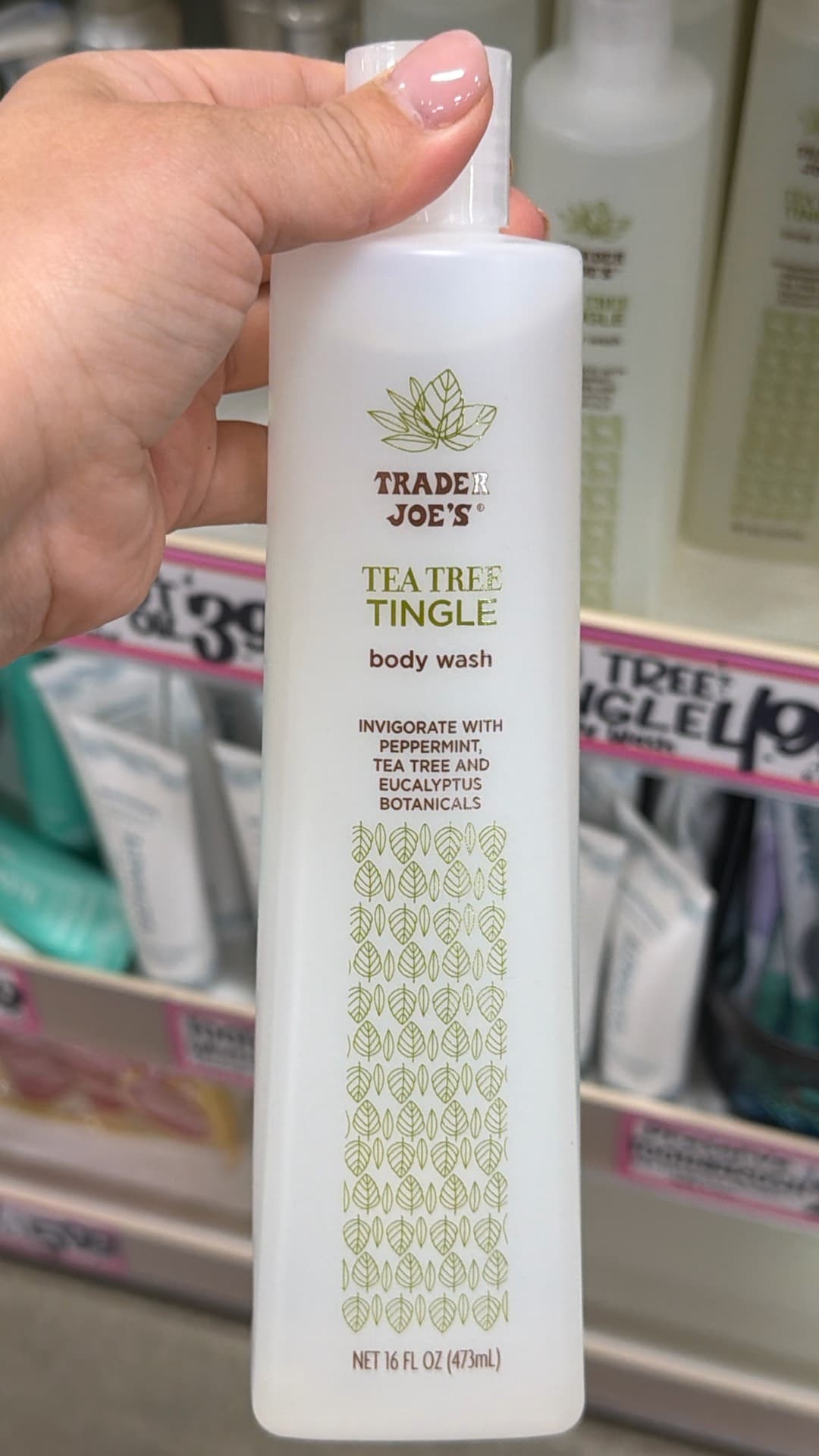 Trader Joe's Tea Tree Tingle Body Wash