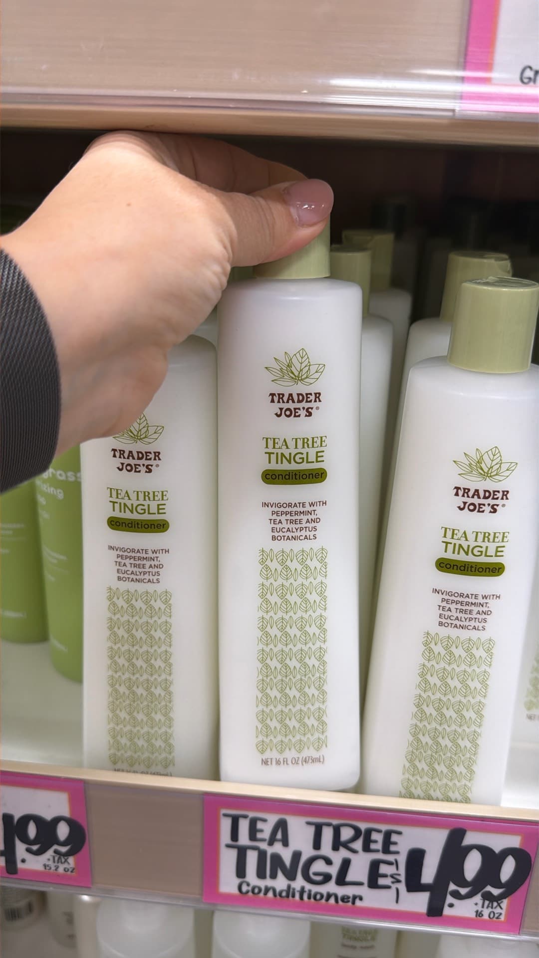Trader Joe's Tea Tree Tingle Conditioner