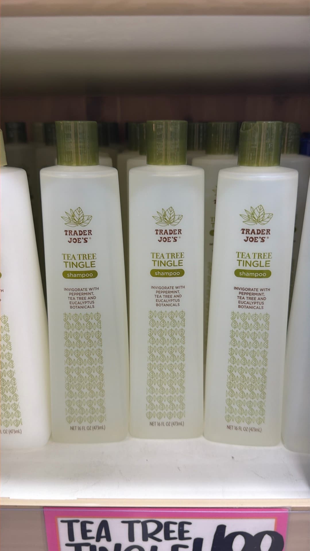 Trader Joe's Tea Tree Tingle Shampoo