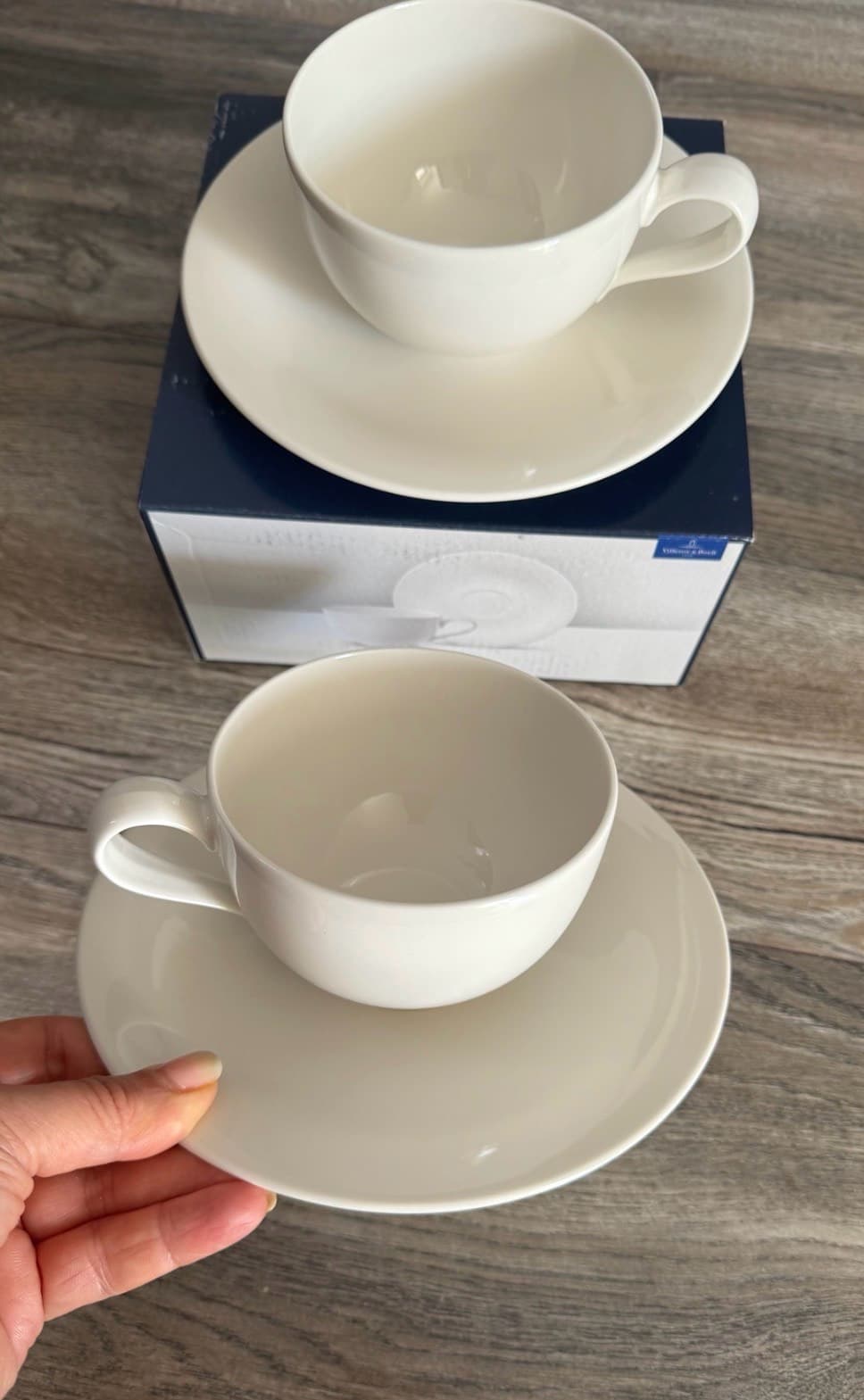Elegant Dinner Plate Set