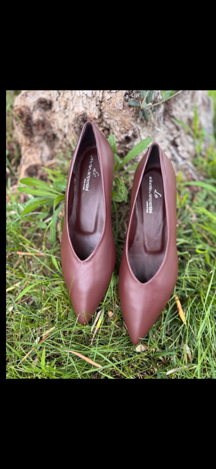 Chic Brown Heels