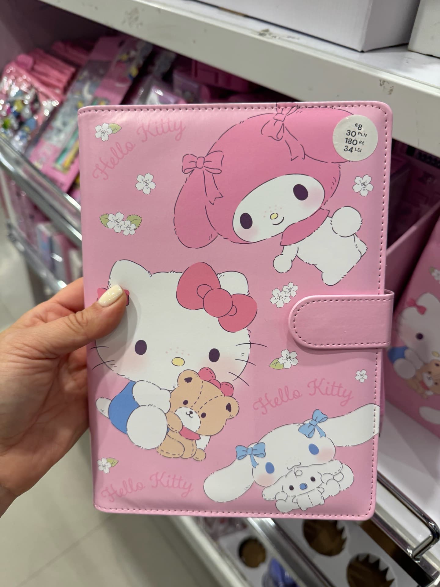 Hello Kitty Notebook Cover