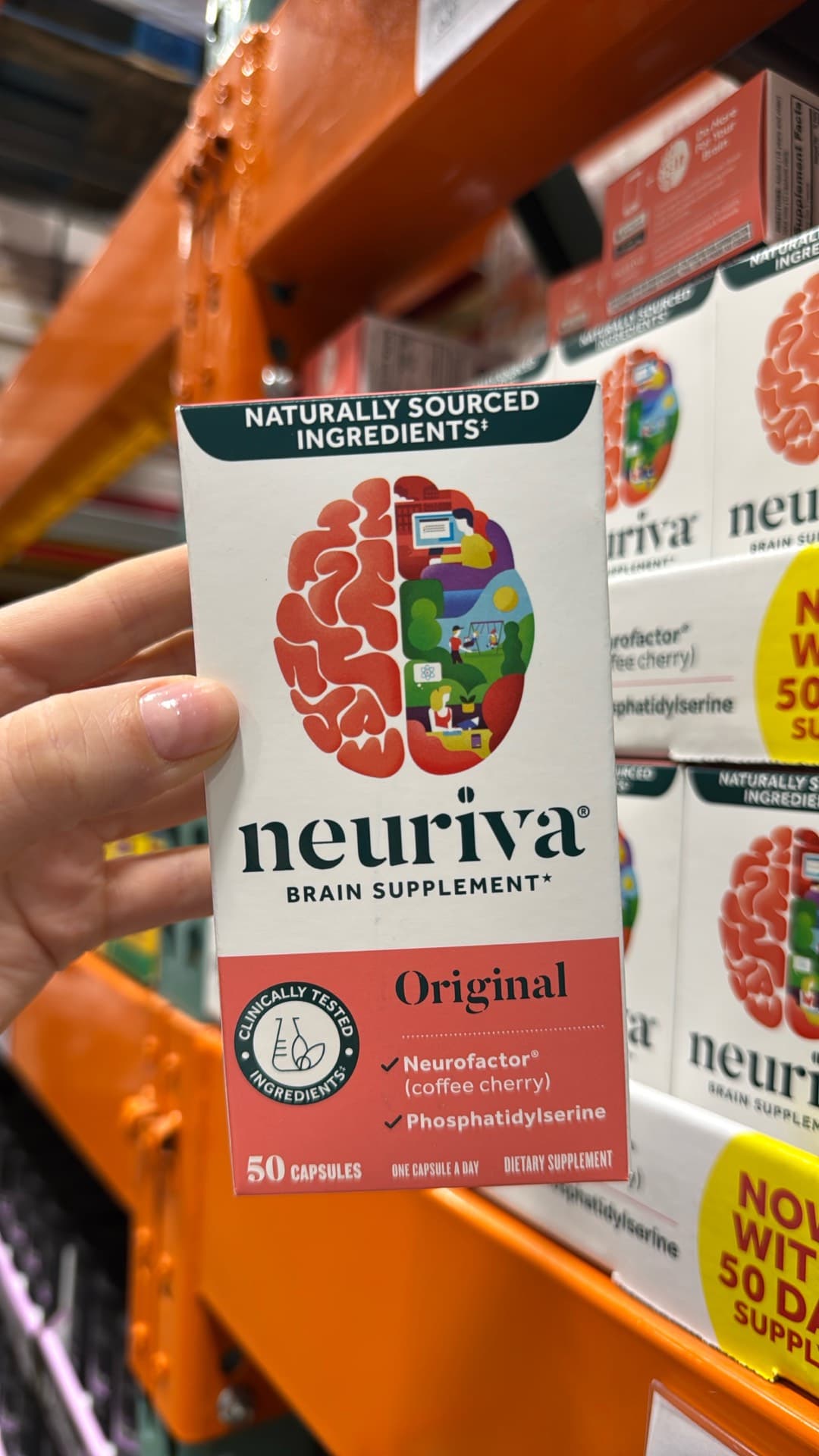 Neuriva Brain Supplement