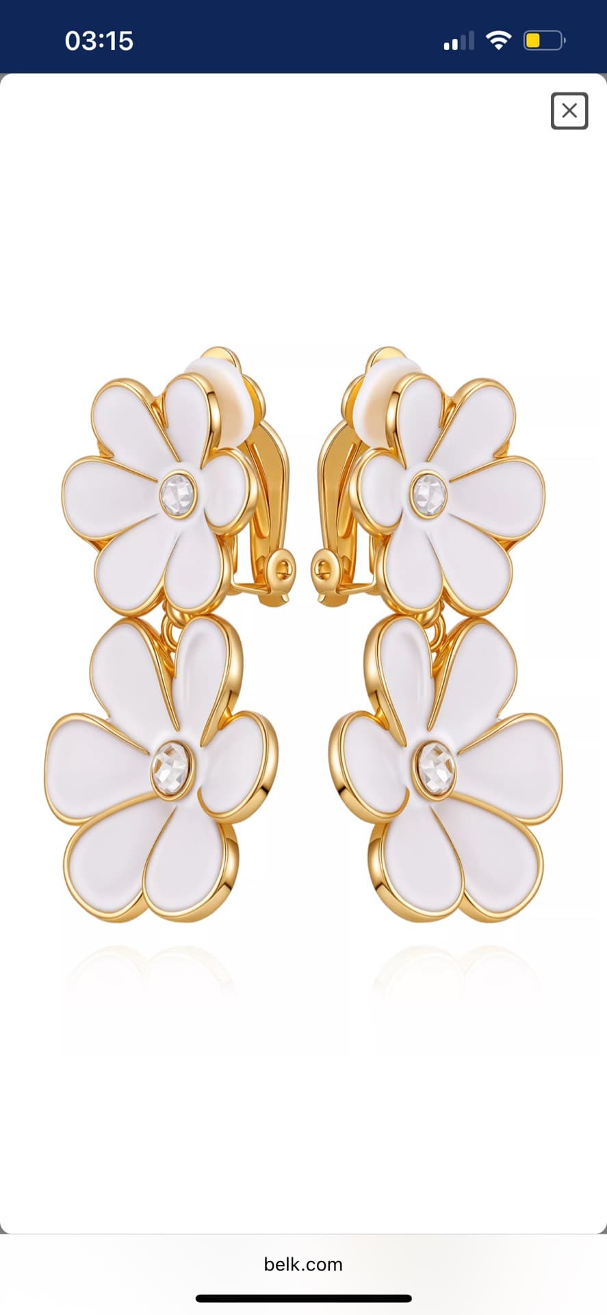 Floral Statement Earrings
