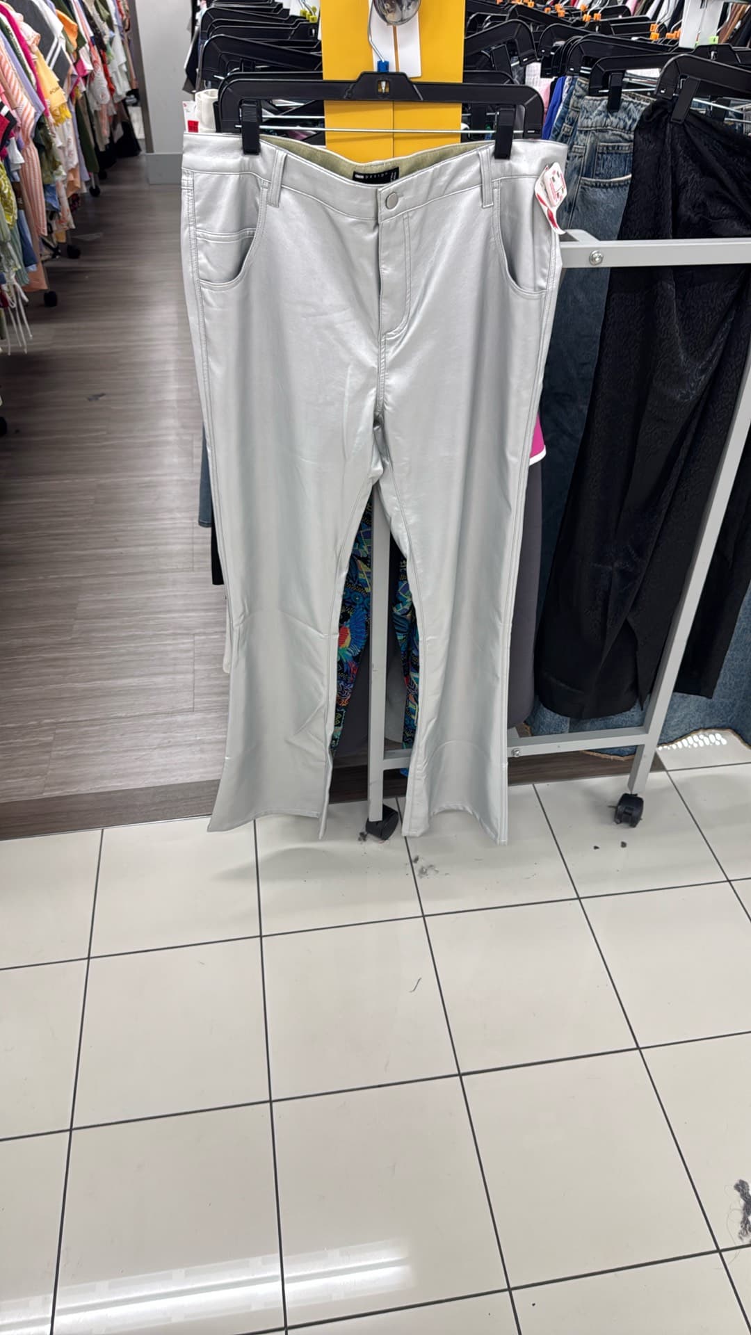 Trendy Silver Pants