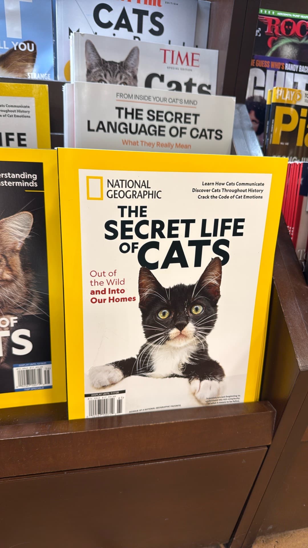 The Secret Life of Cats