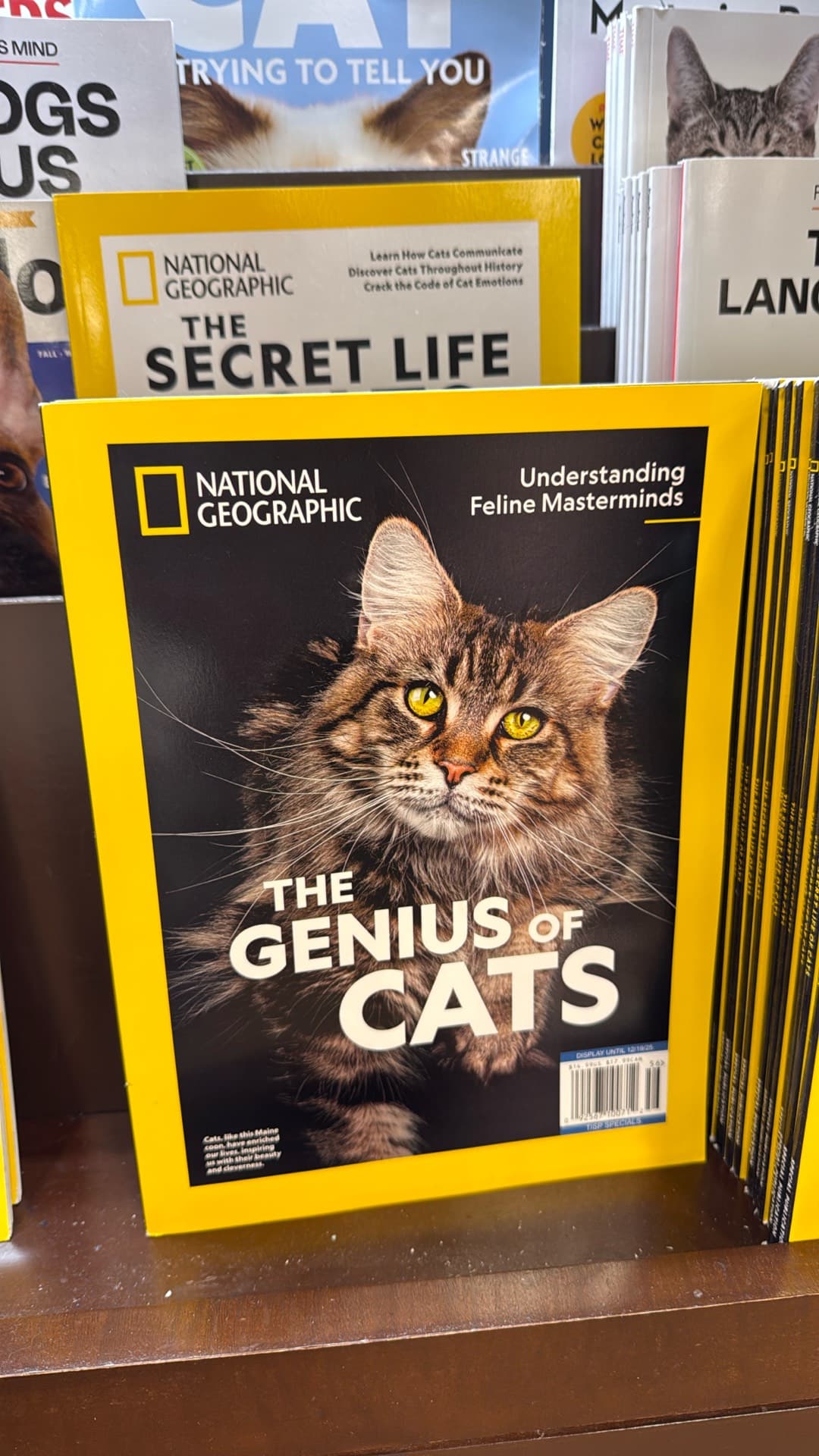 The Genius of Cats Magazine