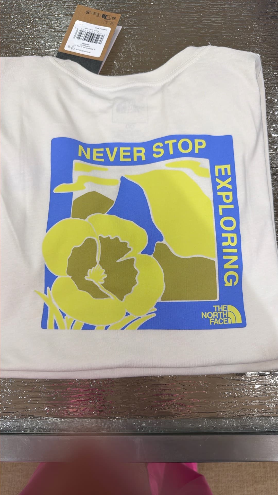 The North Face Graphic Tee