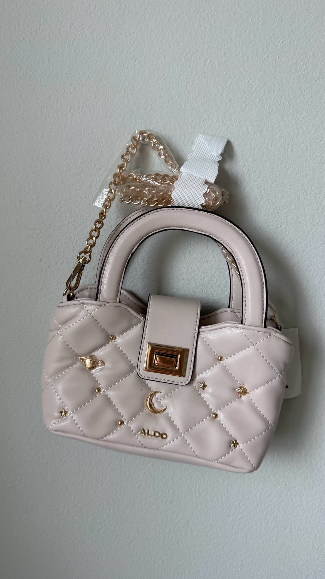 Aldo Mini Handbag