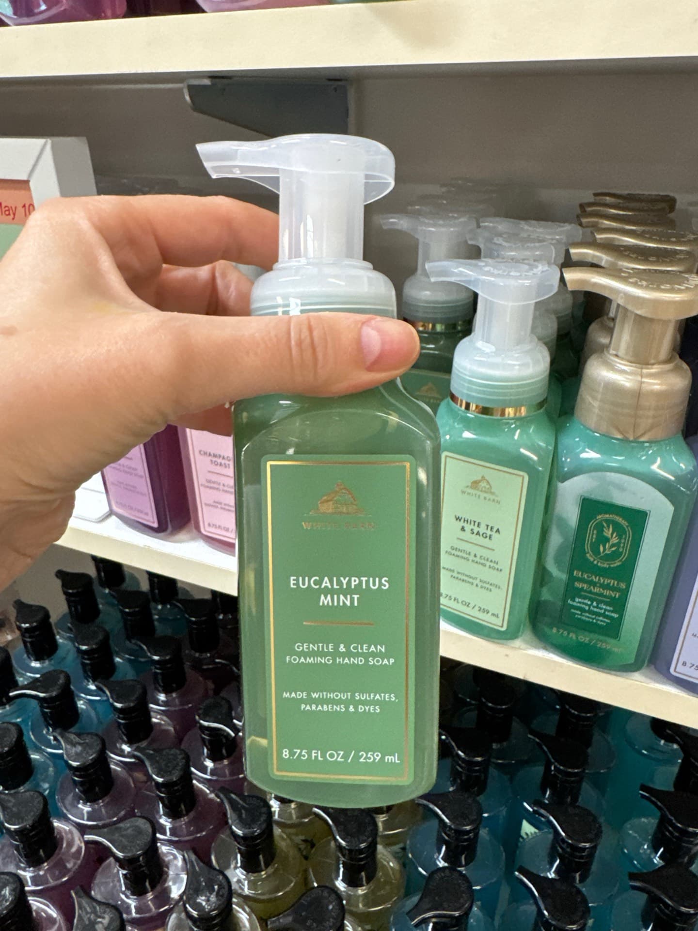 Eucalyptus Mint Foaming Hand Soap