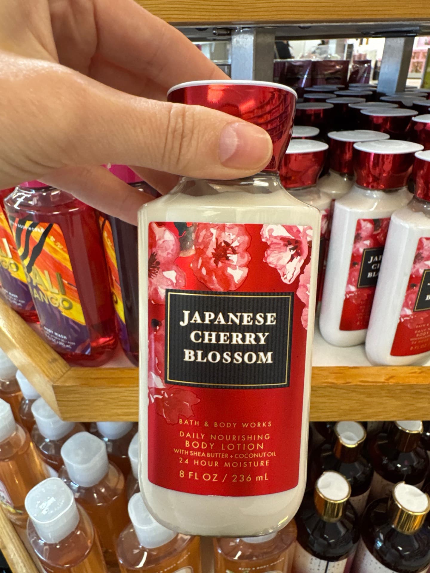 Japanese Cherry Blossom Body Lotion